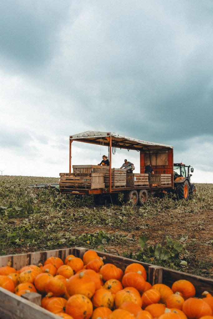 Les plats FoodChéri, acteurs de la transition écologique