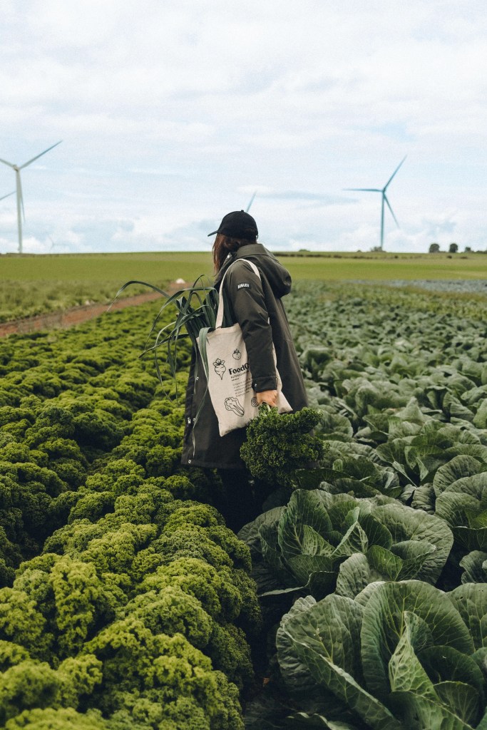 L'agriculture biologique au sein de la restauration collective