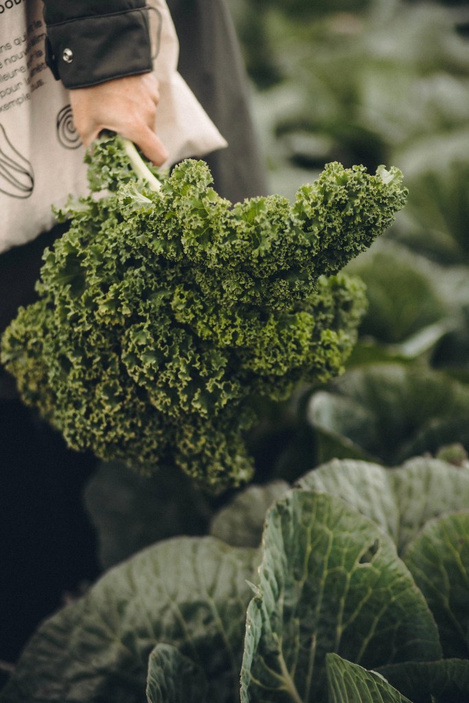 Des producteurs engagés chez FoodChéri