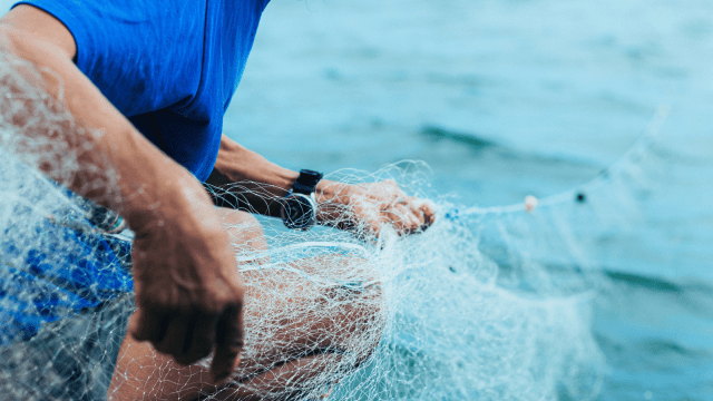 Pêche durable : tout comprendre pour (mieux) choisir son poisson