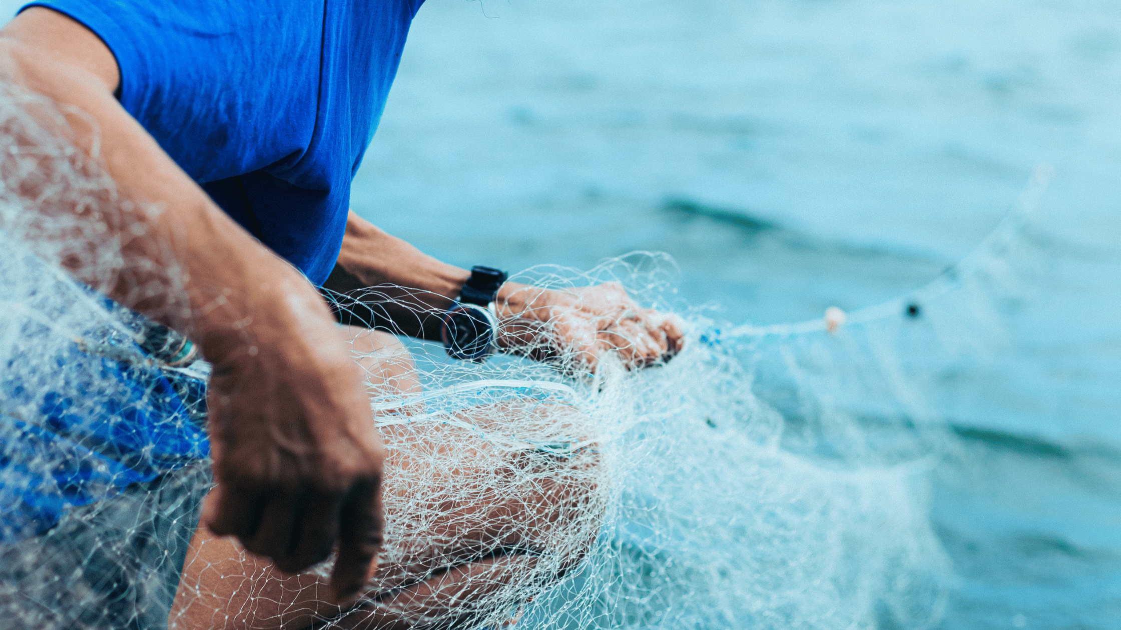 Pêche durable : tout comprendre pour (mieux) choisir son poisson